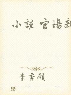 小说 官场新贵