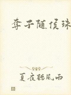 夺子随侯珠