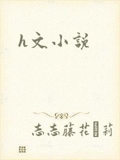 h文小说