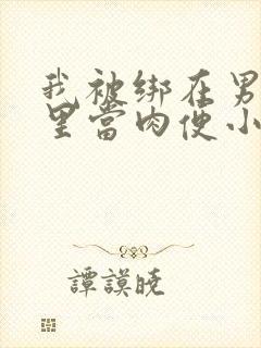我被绑在男公厕里当肉便小说