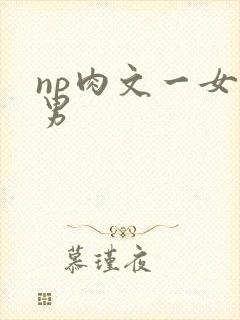 np肉文一女多男封面