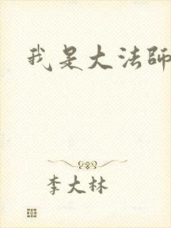我是大法师封面