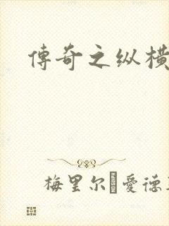 传奇之纵横玛法封面