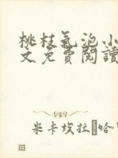 桃枝气泡小说全文免费阅读封面