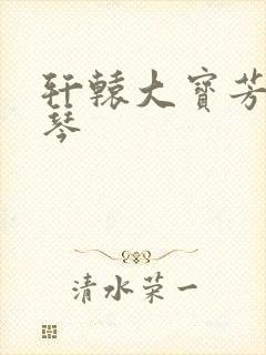 轩辕大宝芳菲雅琴封面