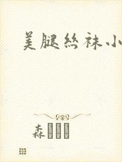 美腿丝袜小说