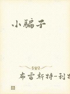 小骗子