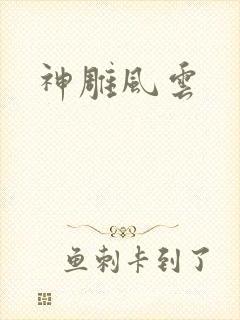 神雕风云