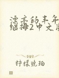 漂亮的丰年经的继拇2中文版封面