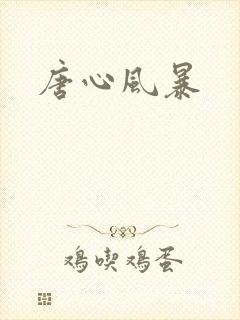 唐心风暴