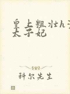 皇上粗壮h灌满太子妃