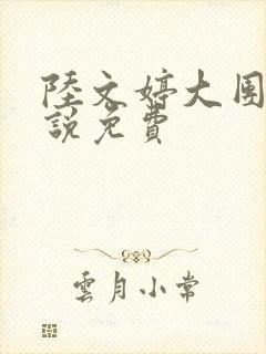 陆文婷大团圆小说免费