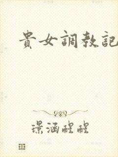 贵女调教记