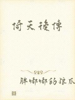 倚天后传