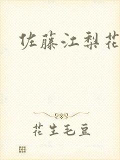 佐藤江梨花