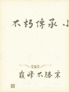不朽传承 小说