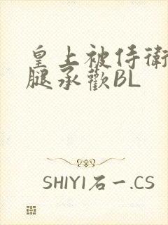 皇上被侍卫抵开腿承欢BL
