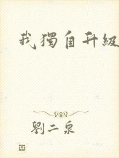我独自升级2