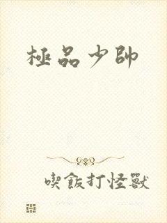 极品少帅