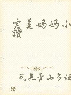 完美妈妈小说阅读封面