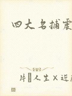 四大名捕震关东