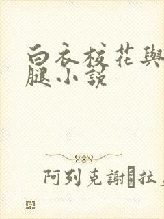 白衣校花与大长腿小说