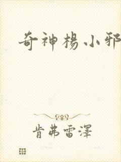 奇神杨小邪封面