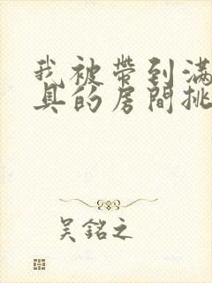 我被带到满是玩具的房间挑调作文