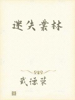 迷失丛林