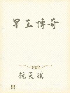 星王传奇封面