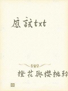 应该txt