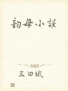 韵母小说