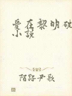 爱在黎明破晓前小说