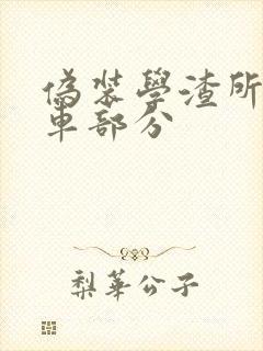伪装学渣所有开车部分