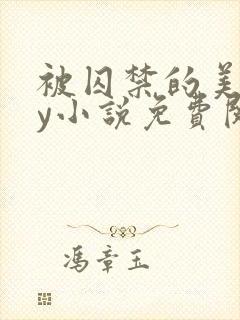 被囚禁的美人by小说免费阅读封面