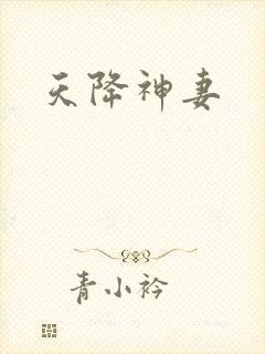 天降神妻
