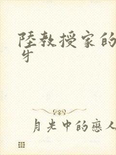 陆教授家的小月牙