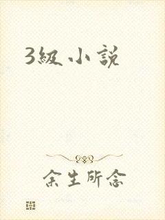 3级小说