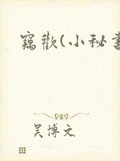 窃欢(小秘书)