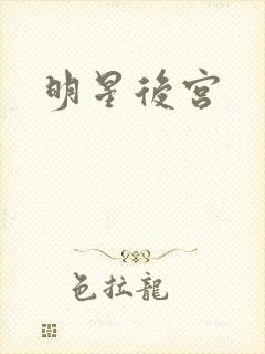 明星后宫
