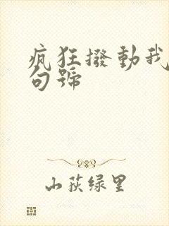 疯狂拨动我的小句号封面