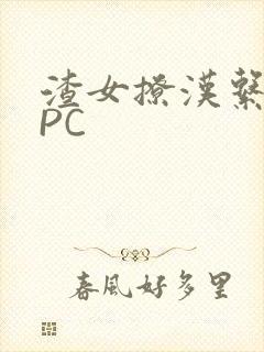 渣女撩汉系统NPC
