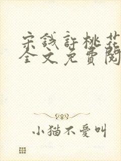 宋钱许桃花小说全文免费阅读封面