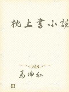 枕上书小说封面