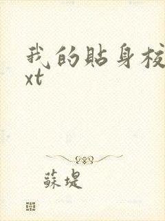 我的贴身校花txt封面