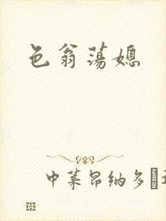 色翁荡媳封面