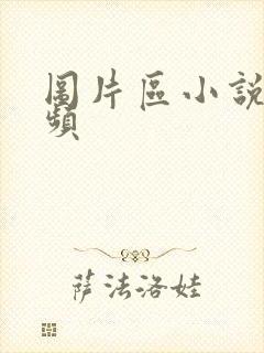 图片区小说区视频封面