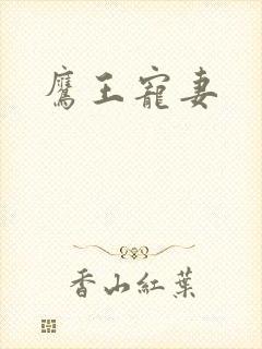 鹰王宠妻