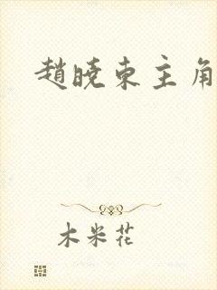 赵晓东主角小说