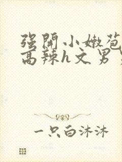 强开小嫩苞h文高辣h文男男封面